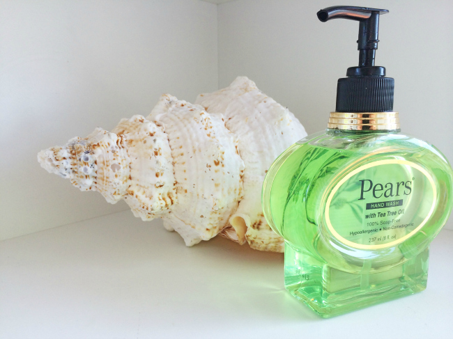 Pears Hand Wash Fox in Flats